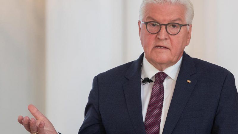 German President Steinmeier to hold climate talks with German carmakers